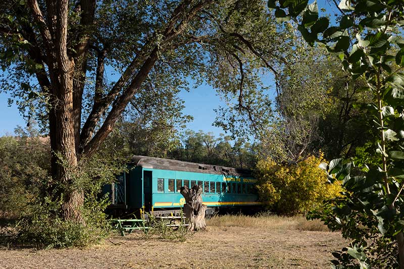 old railcar, partly buried in trees
