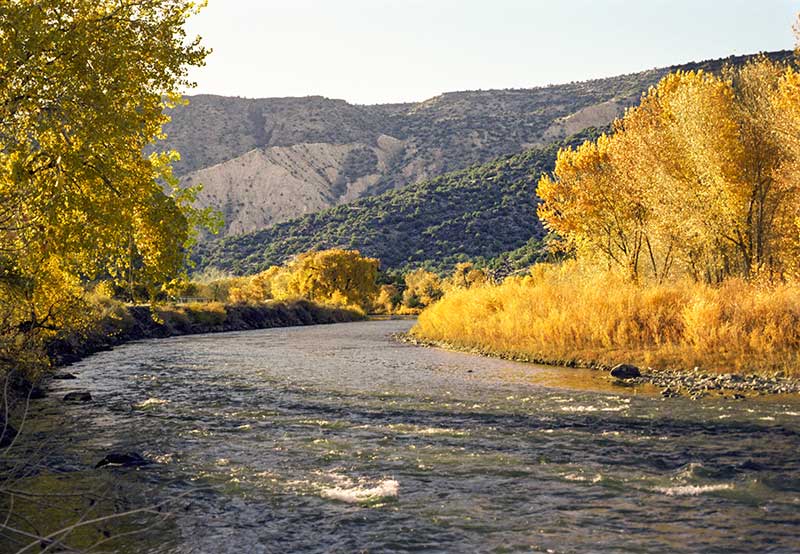 Rio Grande, autumn leaves